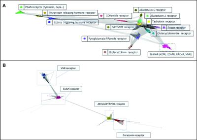 Evaluating conserved domains and motifs of decapod gonadotropin-releasing hormone G protein-coupled receptor superfamily